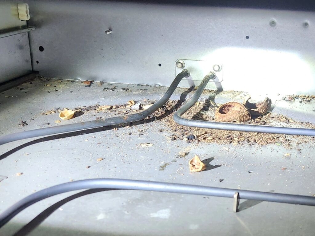 rodent droppings behind and inside appliances in nj kitchens