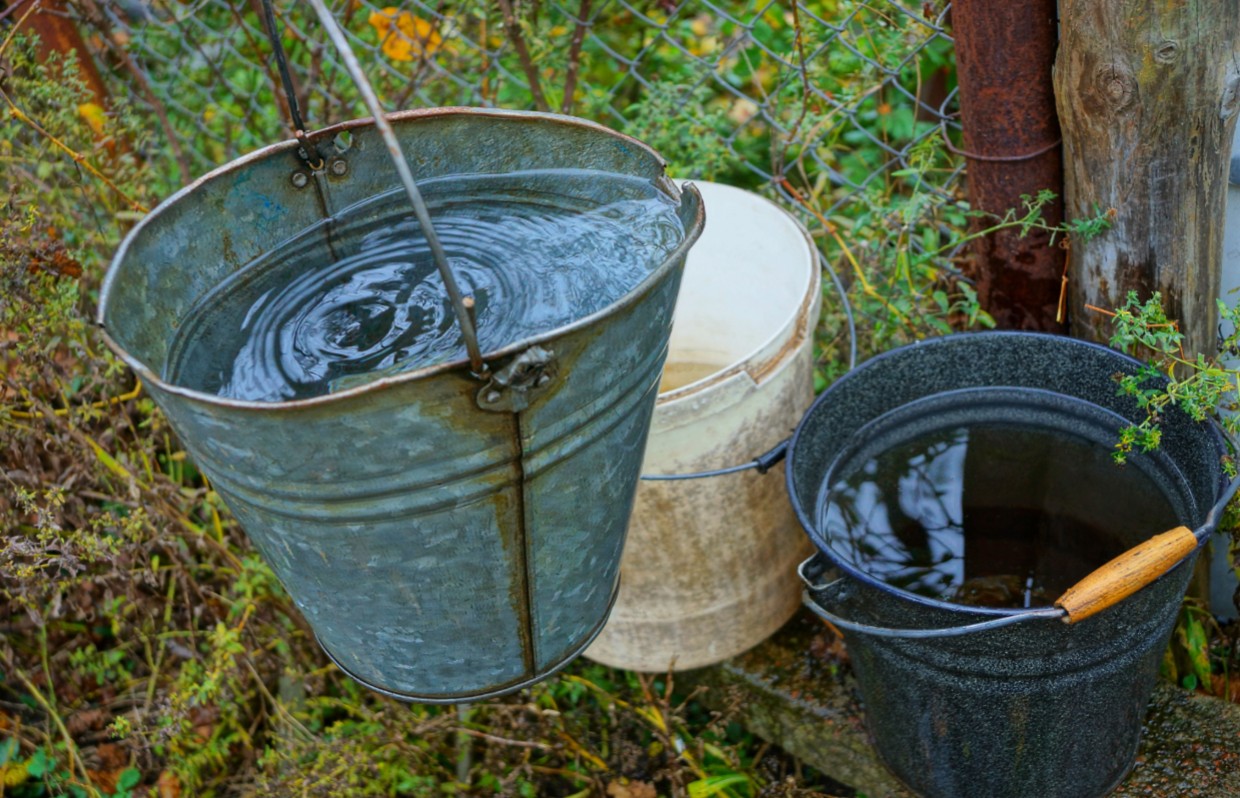 standing water in new jersey back yards breeds mosquitoes