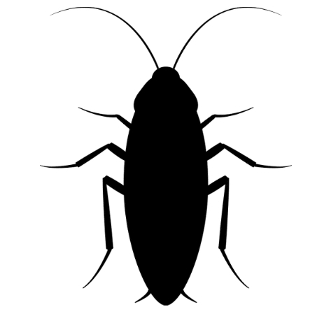 pest control for roaches in Cinnaminson Township New Jersey