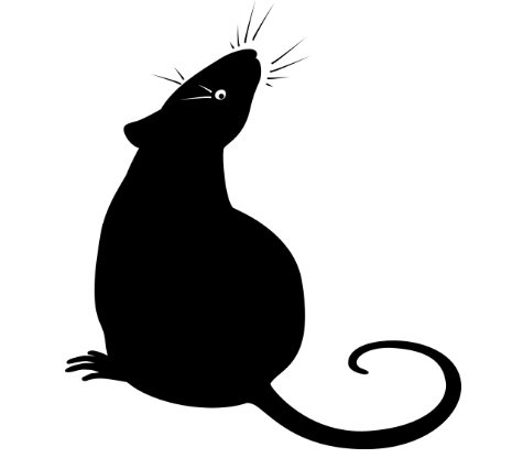 pest control for rodents in Cinnaminson Township New Jersey