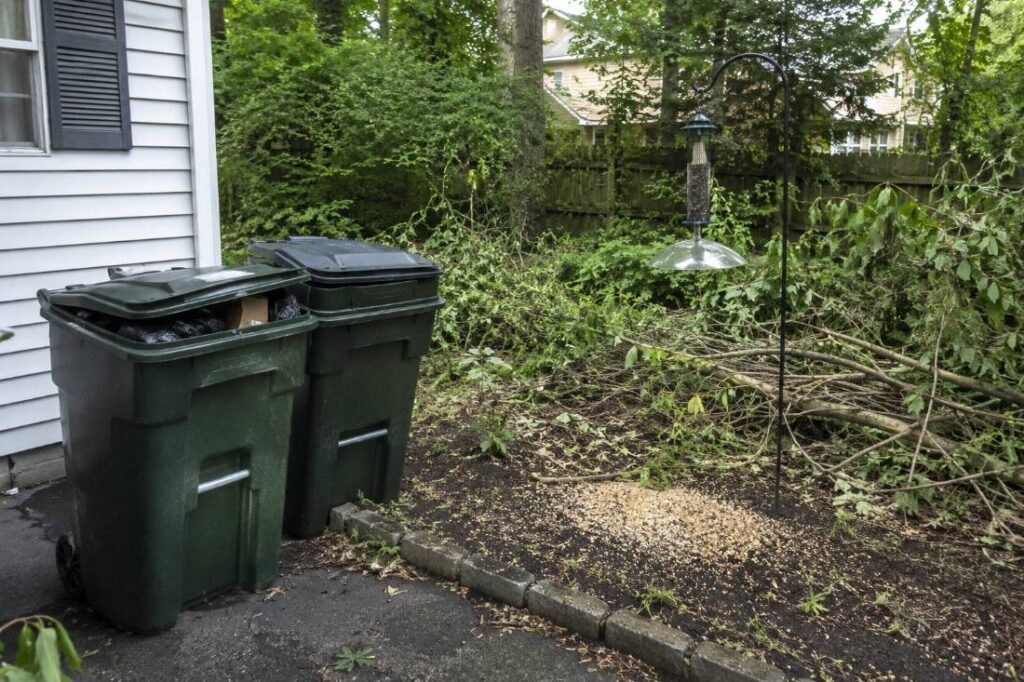 Unsecured garbage and bird feeder seed spillage in a New Jersey backyard attracting rats