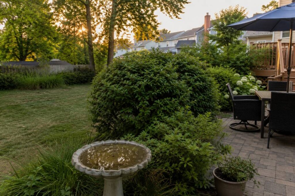 Standing water in a birdbath in a New Jersey backyard, a common mosquito breeding source